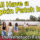 We all have a pumpkin patch inside, public picking flowers at flower farm