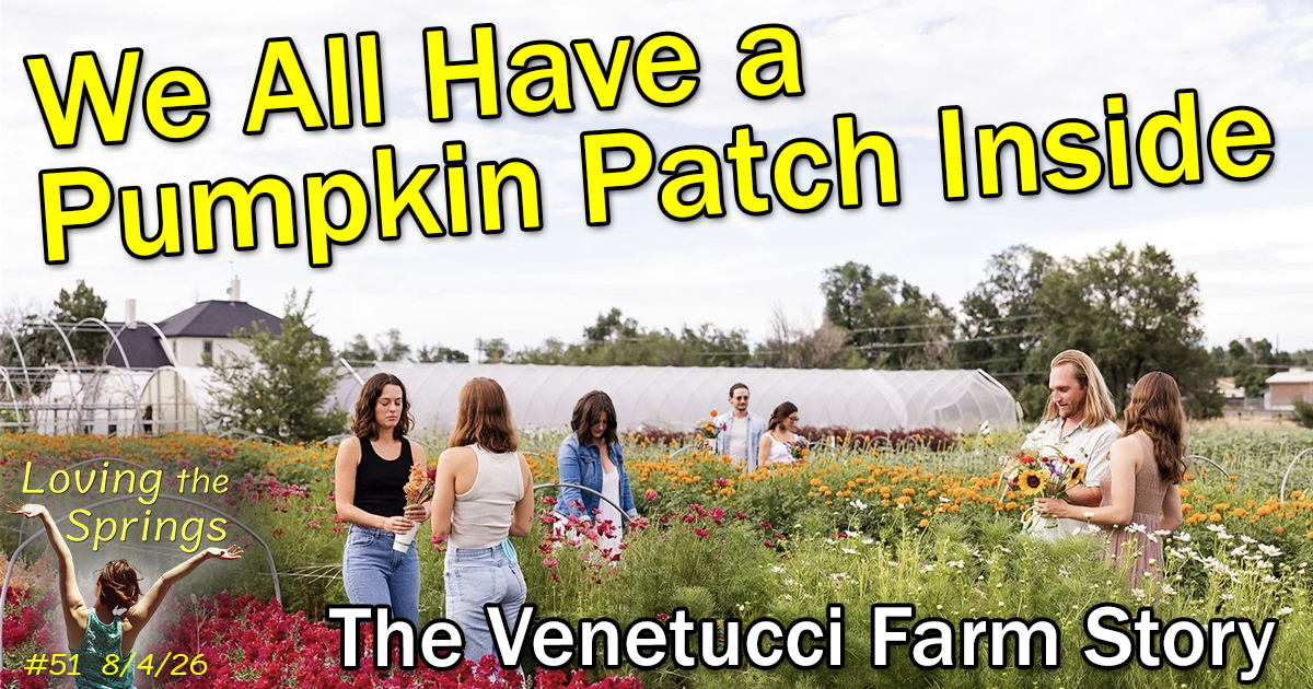 Screenshot We all have a pumpkin patch inside, public picking flowers at flower farm